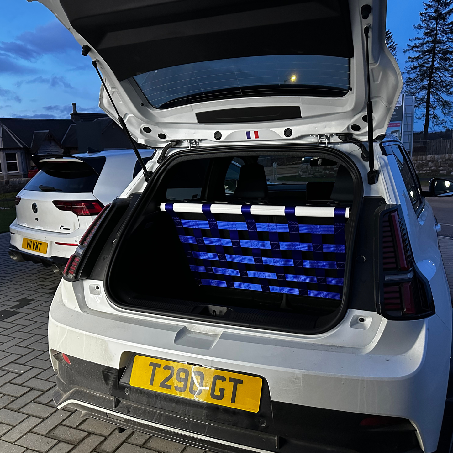 Alpine A290 Strut bar and Cargo net